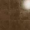 Shield bronze